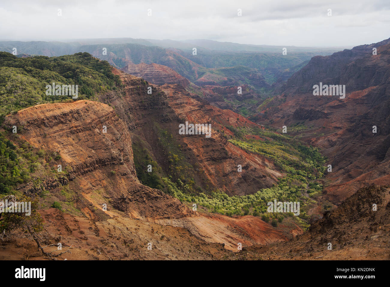 Pu`u Hinahina lookout offers one of the best views into Waimea Canyon on Kauai, Hawaii Stock Photo
